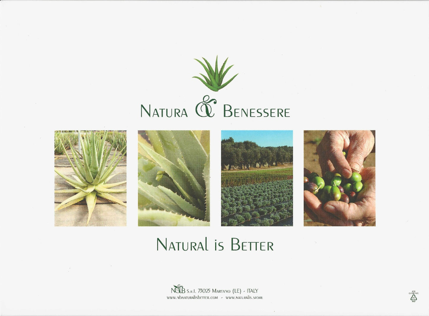 Coffret Beauté Suprême à l’Huile d’Olive et à l’Aloé Vera Rituels d’exception pour une peau sublimée